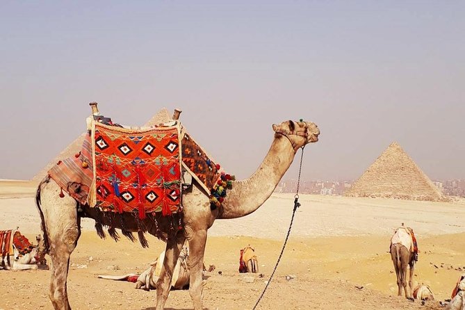 Private 2 Hours Camel Ride at Pyramids of Giza From Cairo - Should you book the Private 2 Hours Camel Ride at Giza?