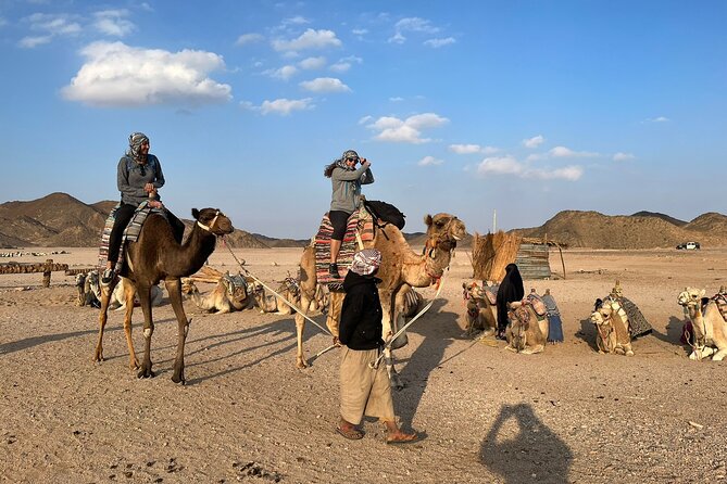 PRIVATE! 3-Hour or 5-Hour Quad Safari Tour to Sahara Desert - Price Reality Check: Is $58.10 Worth It in Hurghada?