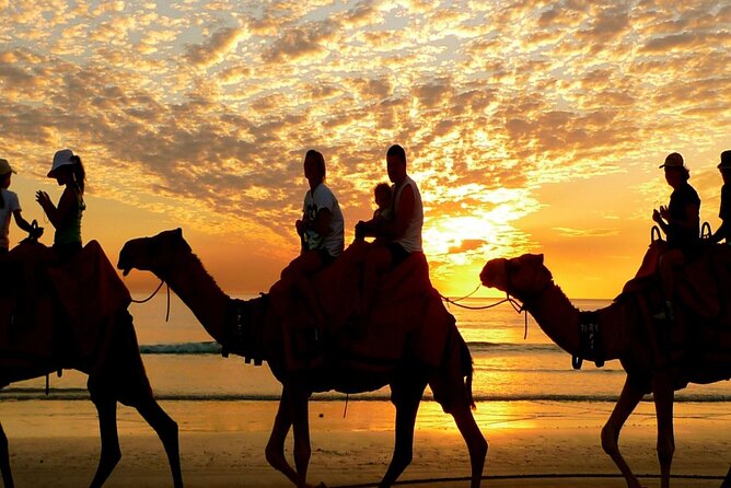Private 3 Hours Safari Quad Bike and Camel Ride Experience - Quad bikes and camels in Hurghada: why this combo works