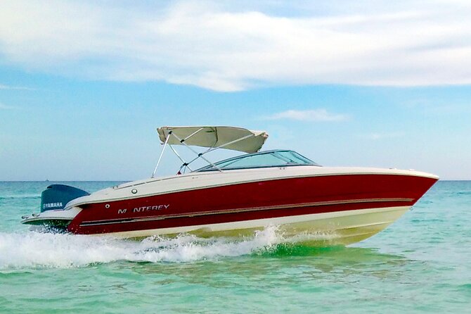 PRIVATE! | 4-hour Speed Boat Trip | Swim With Dolphins, Snorkeling & Island - Value check: $183.06 per group, and what’s included for your money