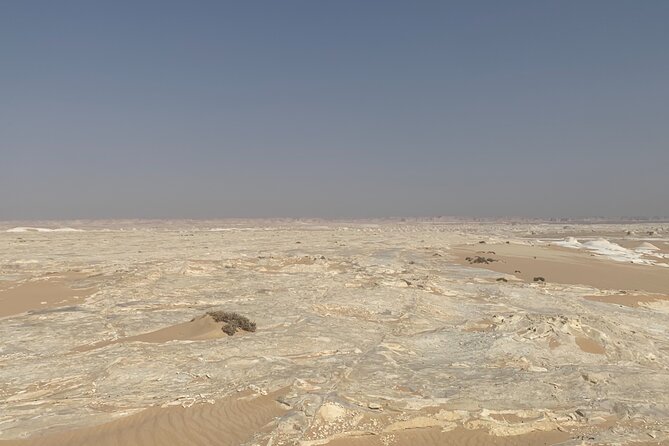 Private 5 Hours Safari by Quad Bike Hurghada + Camel ride - Price and value: is $145.24 a fair deal?