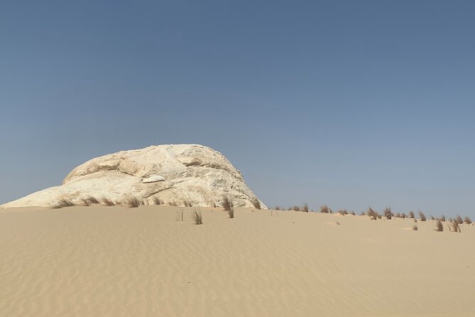 Private 5 Hours Safari by Quad Bike Hurghada + Camel ride - Bedouin village tea stop: culture, not just a photo break