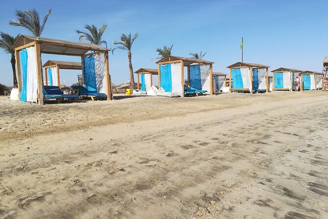 Private Abu Dabbab Over Day Snorkeling with Turtles - Hurghada - Turtles at Abu Dabbab, and why private is the smart move
