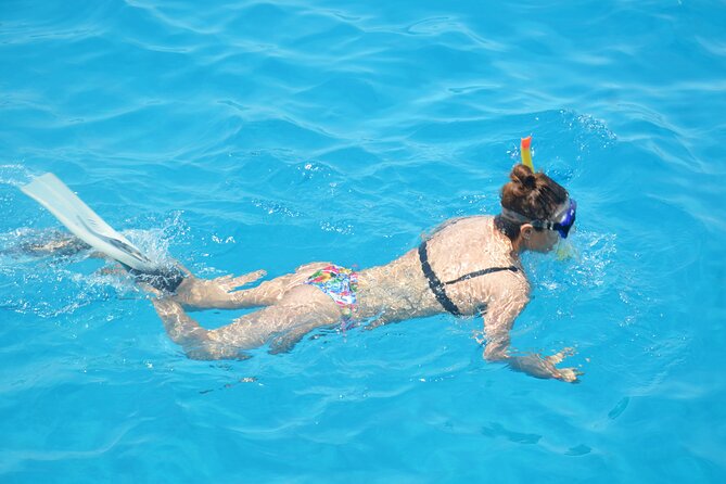 Private Abu Dabbab Over Day Snorkeling with Turtles - Hurghada - The guide and gear: how to get more from turtle time