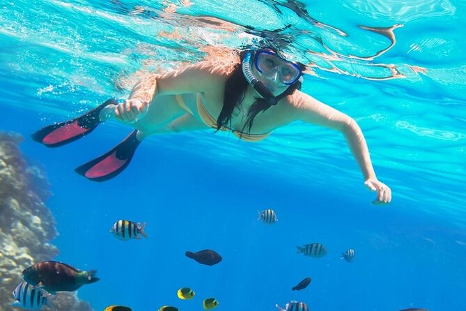 Private Abu Dabbab Over Day Snorkeling with Turtles - Hurghada - Private tour basics: who it suits and who should think twice