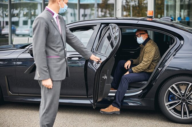 Private Airport Transfer in Cairo - Price and logistics: $27.55 per group up to 8