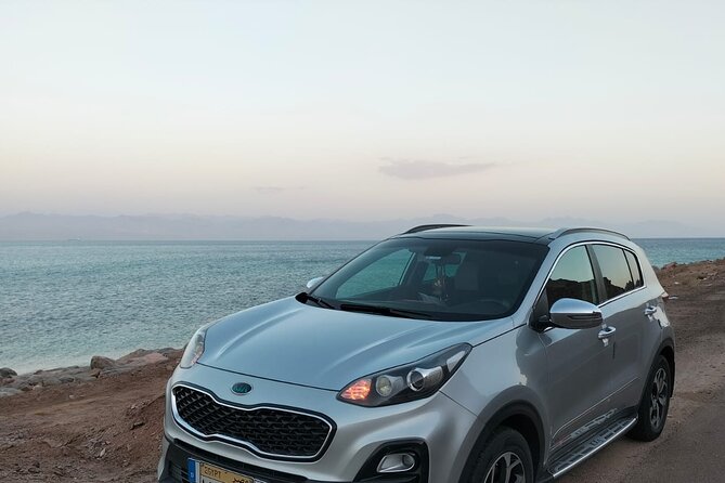 Private Airport Transfers in Sharm El Sheikh - How you’ll find your driver fast: sign, timing, and flight info