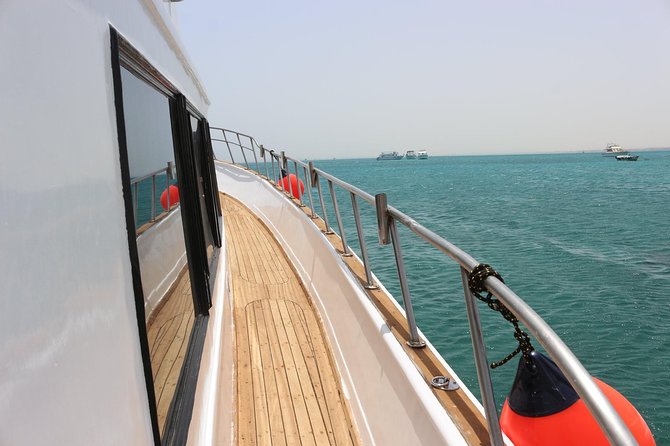 Private Boat Full Day Swimming With Dolphins Trip - Hurghada - The Wind Factor: How to Manage Expectations for Dolphins