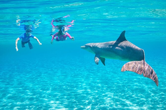 Private Boat to Dolphin House Full day Snorkeling Sea Trip Max 10 Pax - Hurghada - The guides, safety, and included snorkeling equipment