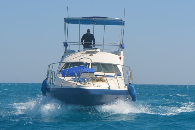 Private Boat to Dolphin House Full day Snorkeling Sea Trip Max 10 Pax - Hurghada - Price and value: $100 plus the cash park fee