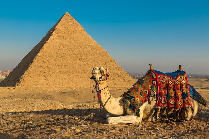 Private Cairo Aswan Luxor 8 days 7 nights with Nile Cruise - Day 3: Philae Temple (Agilika Island) and the Aswan High Dam Reality Check