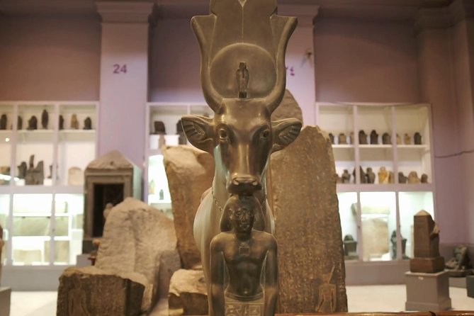 Private Cairo Egyptian Museum Tour with Lunch - Price and value: $35 when entrance and lunch are built in