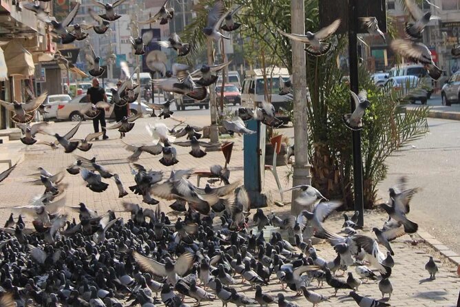 Private city tour with shopping - A short private tour that hits the real Hurghada