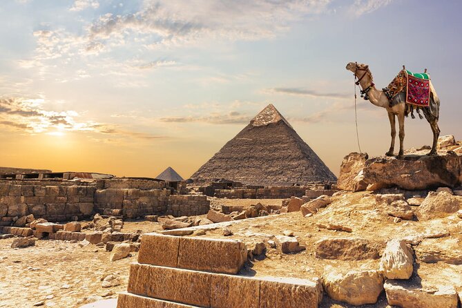 Private Day Pyramids and Grand Egyptian Museum with free camel - The transfer plan that keeps your day smooth