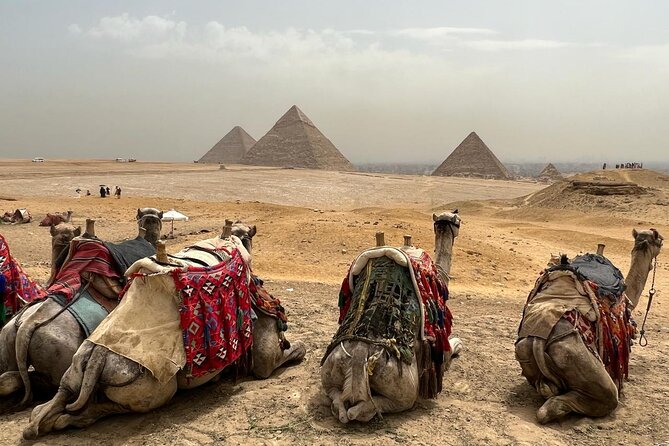 Private Day Pyramids and Grand Egyptian Museum with free camel - Price and value: the $10 question you should answer first