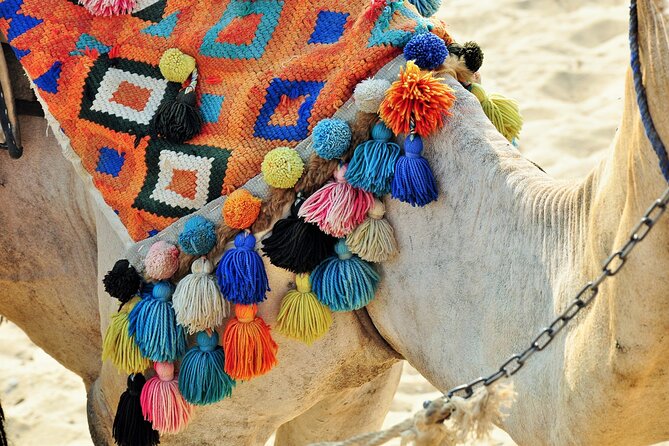 Private Day Tour of Giza Pyramids, Egyptian Museum, and Bazaar" - Stop 1: The quick Giza arrival moment (no ticket needed)