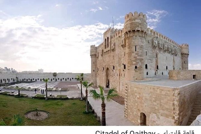 Private Day Tour to Alexandria from Cairo. - Transportation and timing: how to avoid feeling rushed