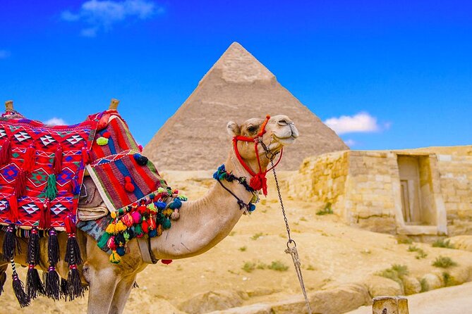 Private Day Tour to Cairo from Hurghada - The 9-hour reality check: comfort during the long drive