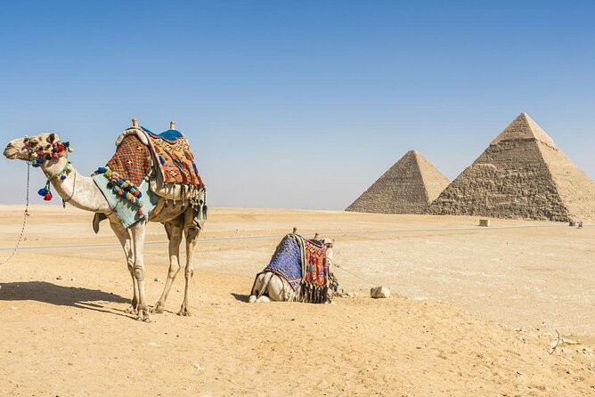 Private Day Tour to Cairo with Flights and Lunch from Hurghada - Giza pyramids and the Great Sphinx with a camel ride