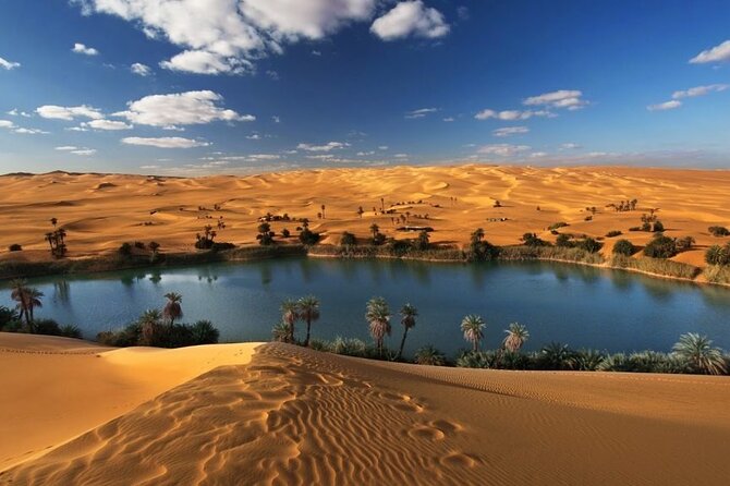 Private Day Tour To El Fayoum From Cairo - Lunch and the pacing of a 9-hour private day