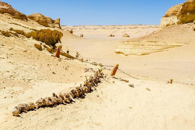 Private Day Tour To El Fayoum From Cairo - Getting there smoothly: private A/C transport from Cairo or Giza