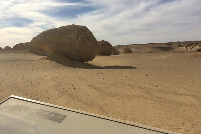 Private Day Tour to El Fayoum & Valley of the Whales from Cairo - Key things I’d focus on before you go
