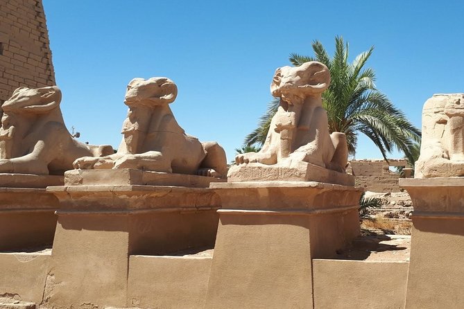 Private Day Tour to Luxor from Hurghada - The Luxor Temple Stop and Colossi of Memnon: Short Time, Strong Impressions