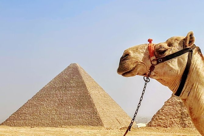 Private day trip to Cairo from Hurghada - Great Sphinx + Valley Temple of Khafre: Short, Intense, Worth It