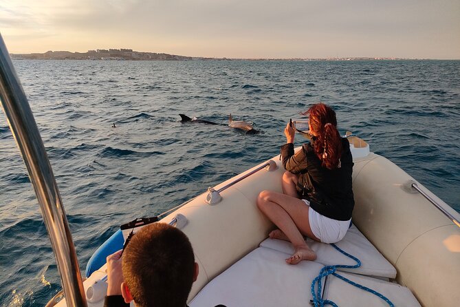 Private Dolphin Watching And Snorkeling Tour - How the private speedboat changes your Hurghada day