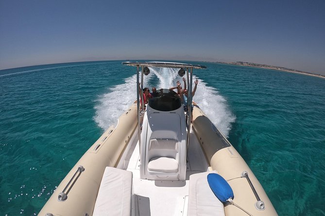 Private Dolphin Watching And Snorkeling Tour - Dolphin watching: what to expect when you’re chasing wild dolphins