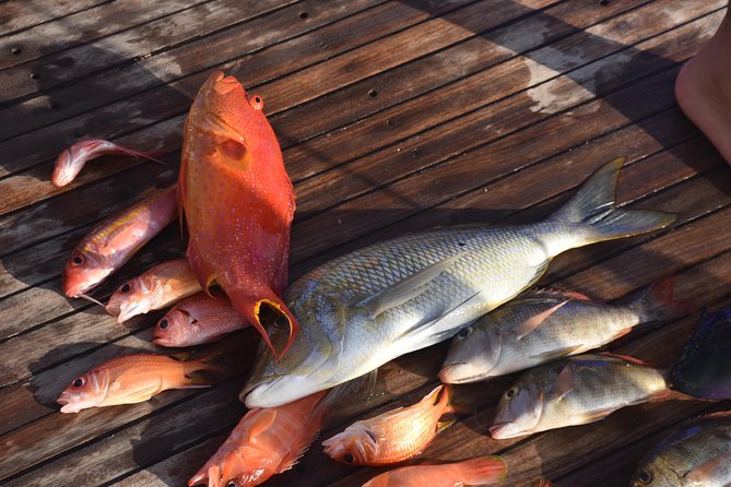Private Fishing Day Boat With Equipment and Transfer – Hurghada - Booking checklist: questions to ask before you leave shore