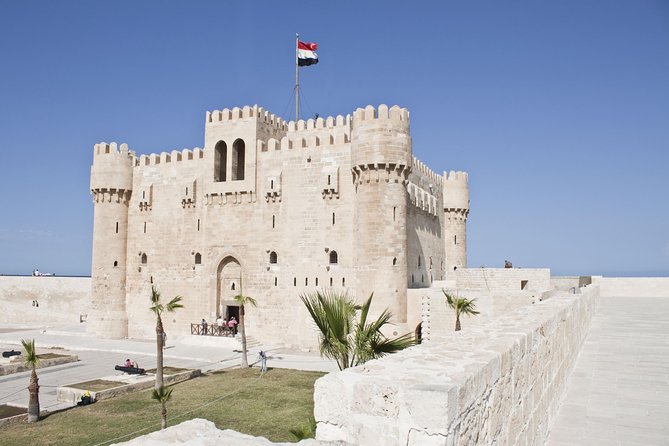 Private From Cairo: Alexandria Day Trip - Alexandria Library: 11 levels of ideas, books, and modern reverence