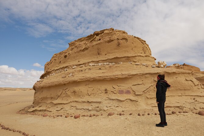 Private Full Day Tour in Wadi El Rayan and Wadi El Hiten - Fayoum’s Wadis and Fossils, Without the Museum Fatigue
