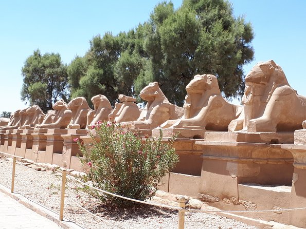 Private Full Day Tour to Luxor from Cairo with Flight - Karnak Temple complex: Avenue of Sphinxes to the Hypostyle Hall