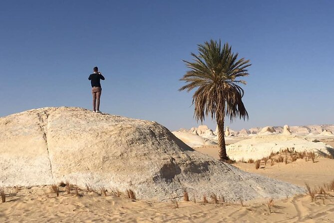 Private Full-day White and Black Desert Tour From Cairo/Giza - Bahariya Oasis stop: swimming time and an oasis view break