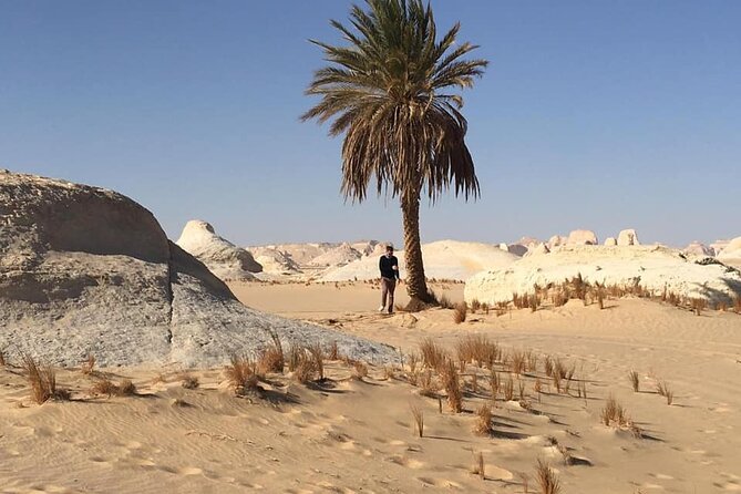 Private Full-day White and Black Desert Tour From Cairo/Giza - Timing, comfort, and what to pack for this kind of long desert day