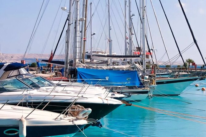 Private Guided City Tour with Shopping and Transfer in Hurghada - Hurghada Marina waterfront: yachts, shade, and real Red Sea air