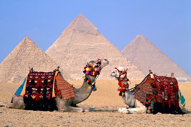 Private Guided Half-Day Tour to Giza Pyramids and Sphinx - Hotel pickup and Cairo traffic: what to expect