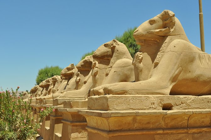 Private Guided tour Valley of the King ,Queen Hatshepsut, &Memnon - Necropolis of Thebes and the Valley of the Kings: where the story turns to real rulers