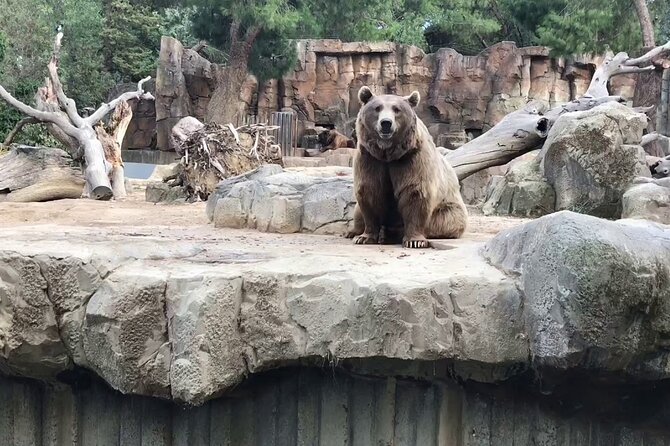 Private Half Day Tour To The Zoo In Giza - Who this tour is best for in Cairo