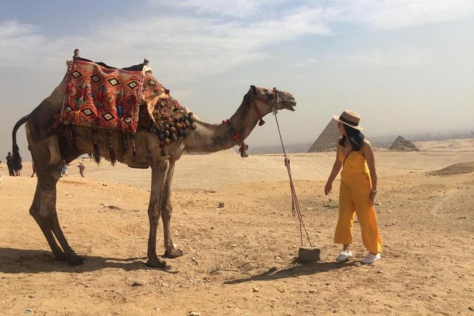 Private Half-Day Tour with Guide to Pyramids of Giza with Camel Ride - How the door-to-door setup changes your Giza day
