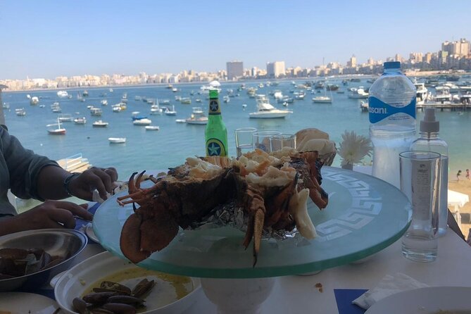Private Historical Guided Day Tour to Alexandria from Cairo - Alexandria Library: modern architecture and a big idea