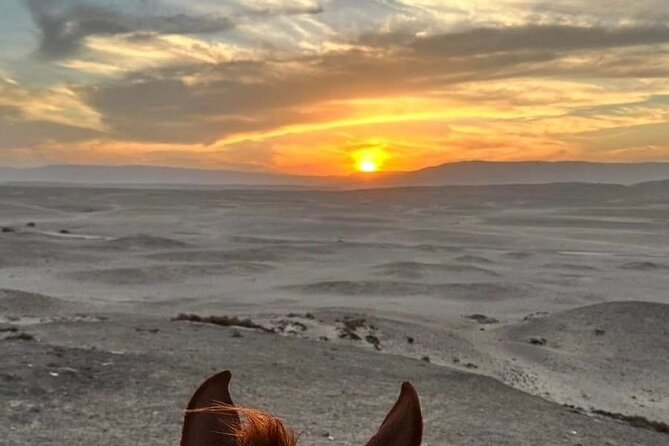 Private Horse Riding Tour in Luxor West Bank - Private Horse Riding on Luxor’s West Bank: The Appeal
