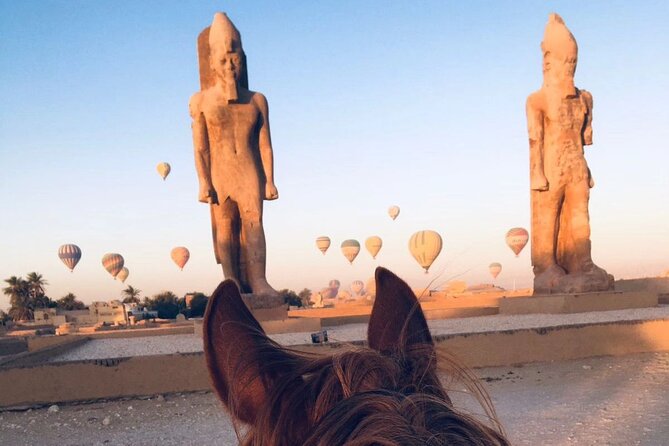 Private Horse Riding Tour in Luxor West Bank - Sunrise, Hot Air Balloons, and the 3-Hour Magic Window