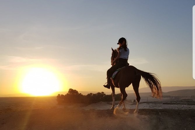 Private Horse Riding Tour in Luxor West Bank - 4 Hours Up the Mountain: Nile Views and the Big-Picture Moment