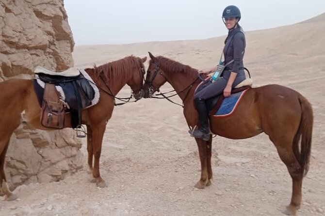 Private Horse Riding Tour in Luxor West Bank - Horses, Helmets, and Getting Comfortable Fast
