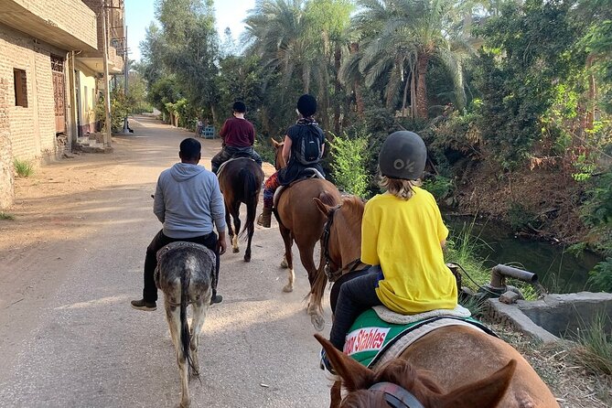 Private Horse Riding Tour in Luxor West Bank - Guide Style and the Historical-Context Question