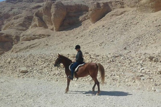 Private Horse Riding Tour in Luxor West Bank - Price and Value: Why $12 Can Make Sense