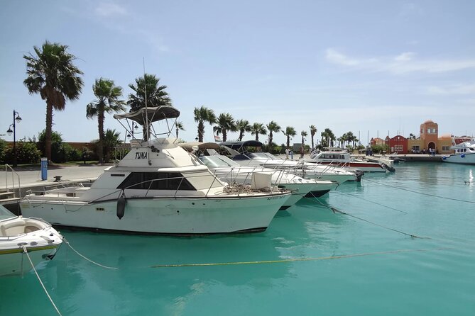 Private Hurghada Top Highlights City Tour with Shopping Stop - Fish Market: The Best Ending When You Like Real-Life Scenes