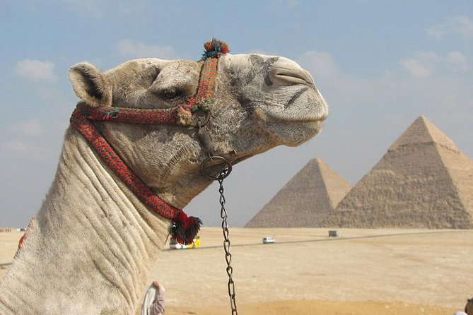 Private Journey :Grand Egyptian Museum & Giza Pyramids - Why this private GEM + Giza day feels efficient
